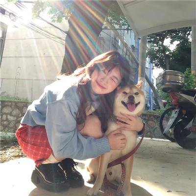 冲撞乐队的沉浮