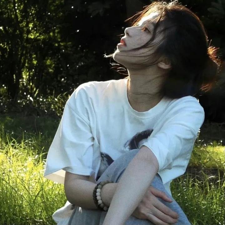 穆桂英之大破天门阵国语